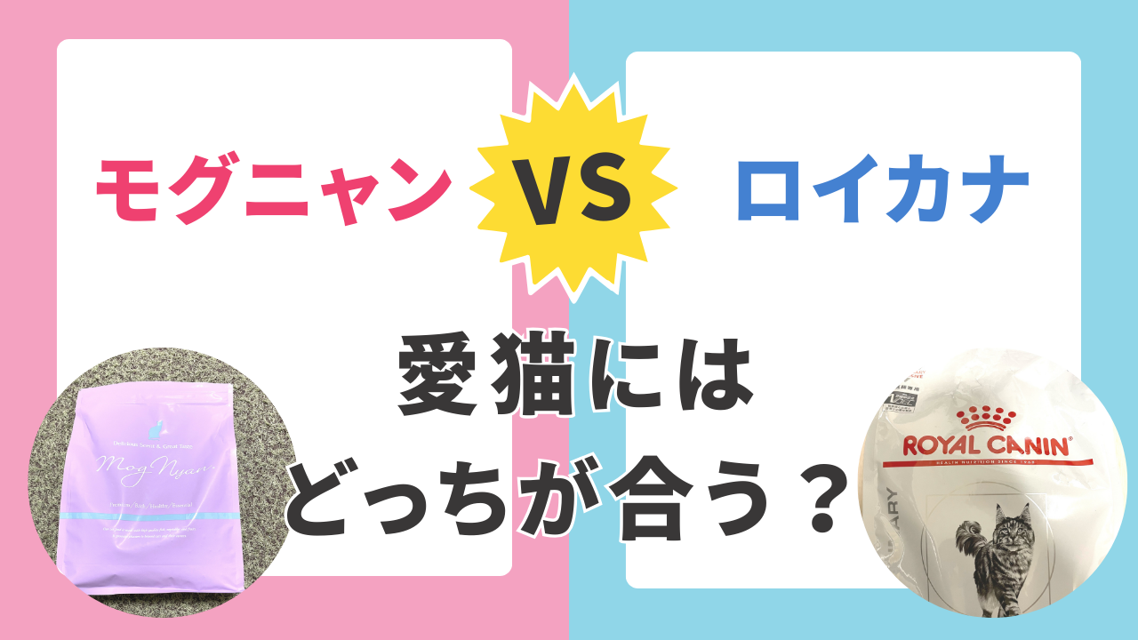 モグニャンとロイヤルカナン　どっちがいい
